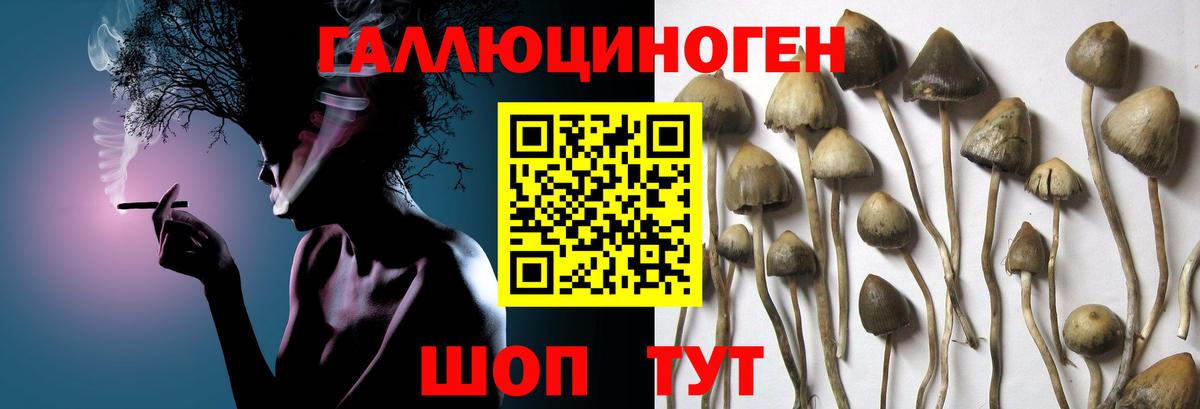 закладки  Галлюциногенные грибы Cubensis  Лабытнанги  Вход с VPN  Галлюциногенные грибы GOLDEN TEACHER 